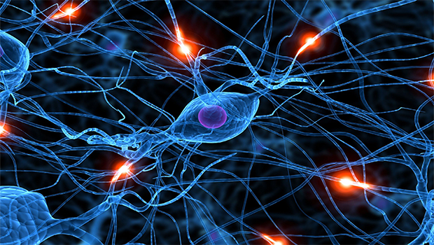 conexion-neuronal